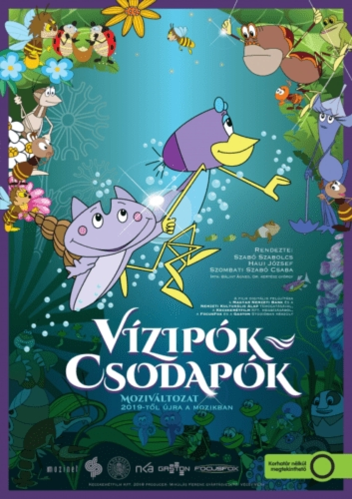 vizipok