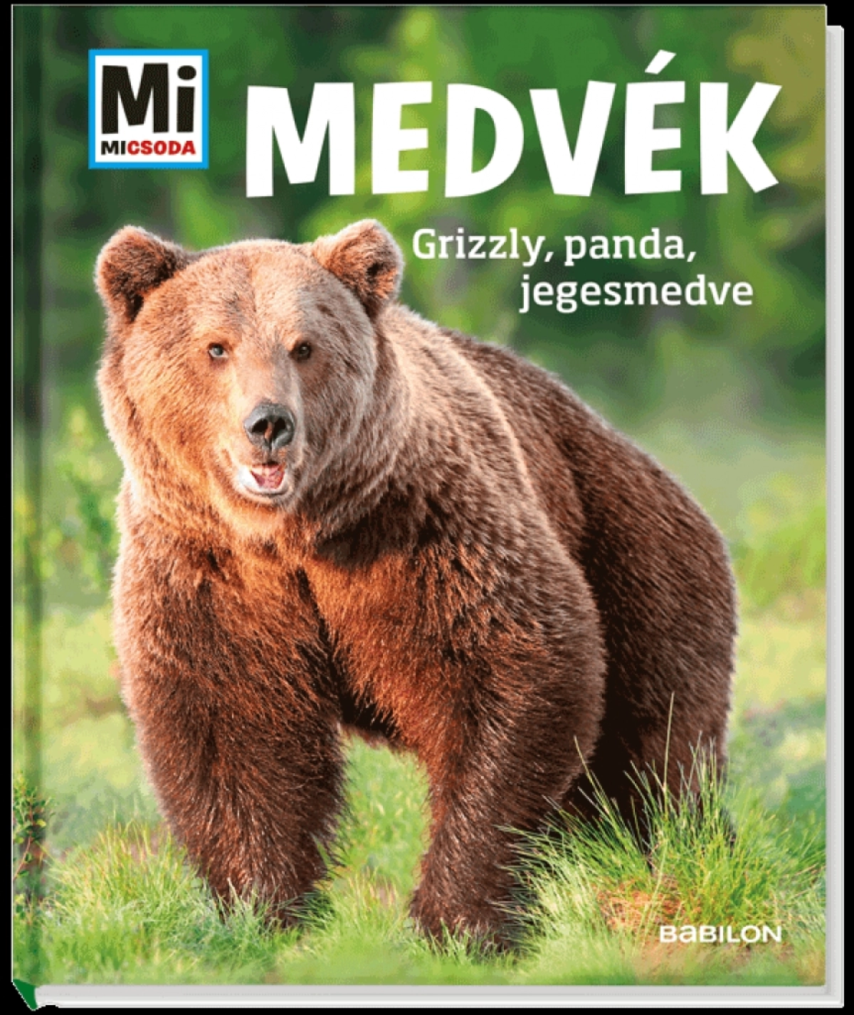 Alexandra Mayer: Medvék