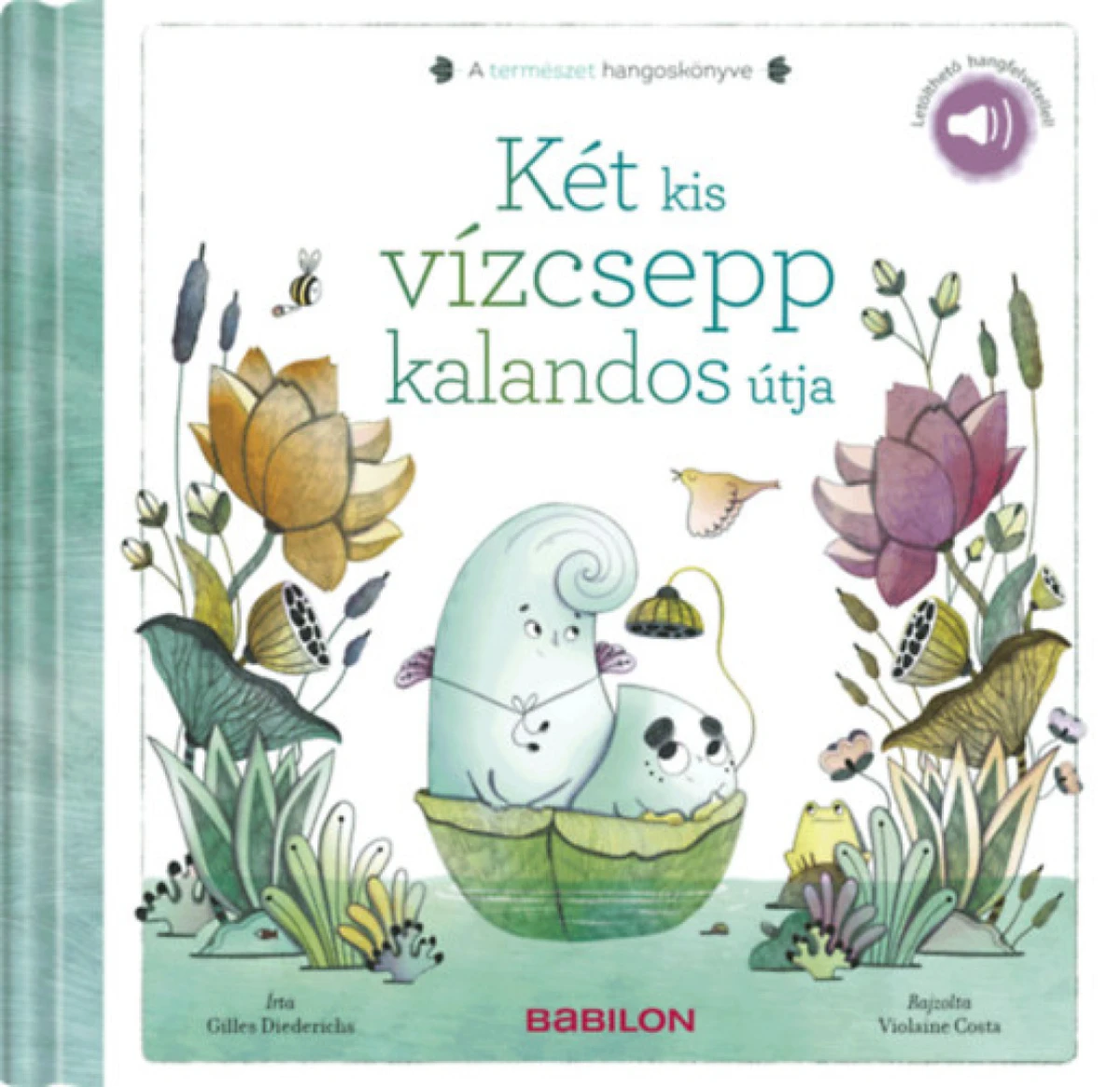 Gilles Diederichs: Két kis vízcsepp kalandos útja