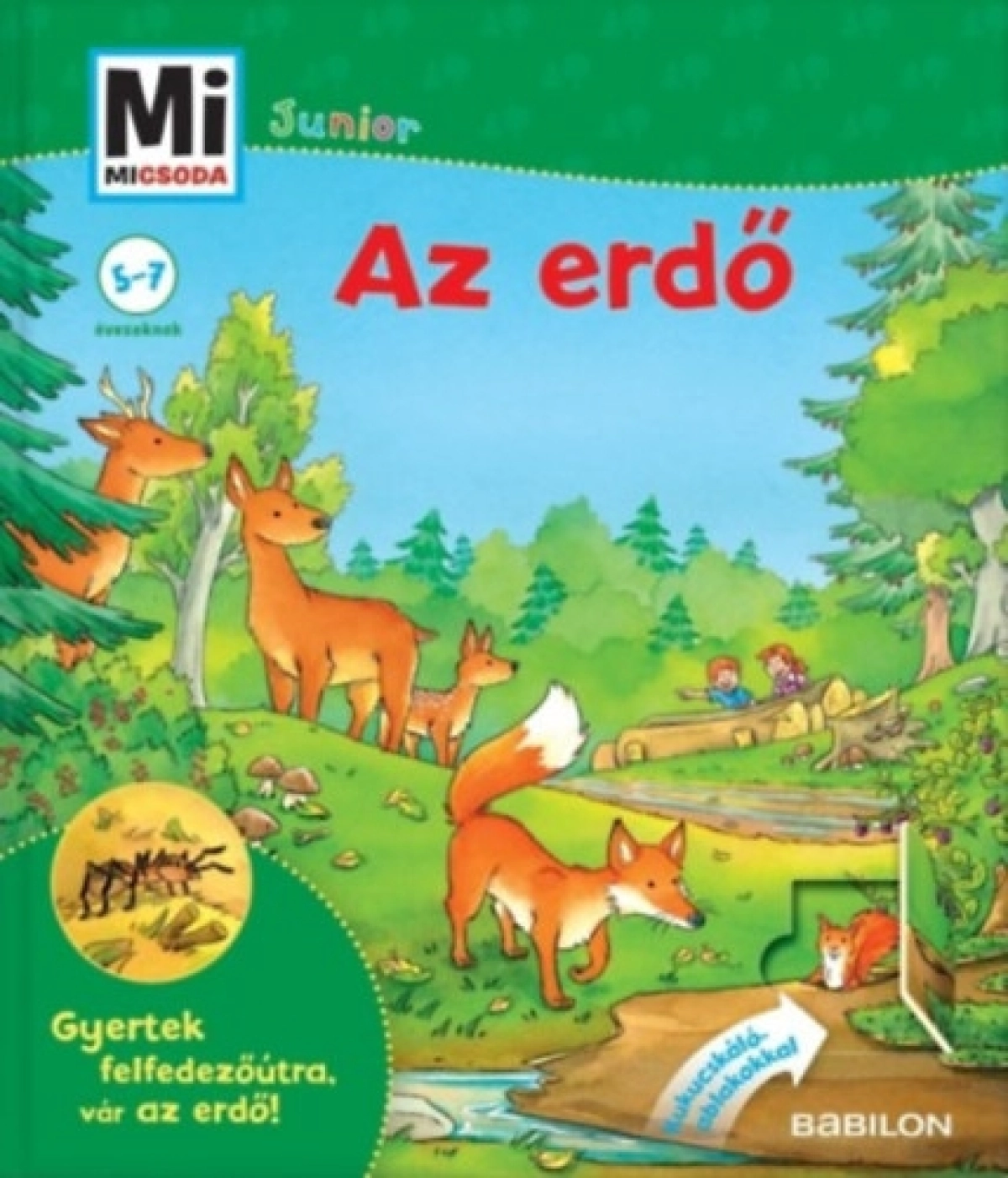 Christina Braun, Sabine Stauber: Az erdő