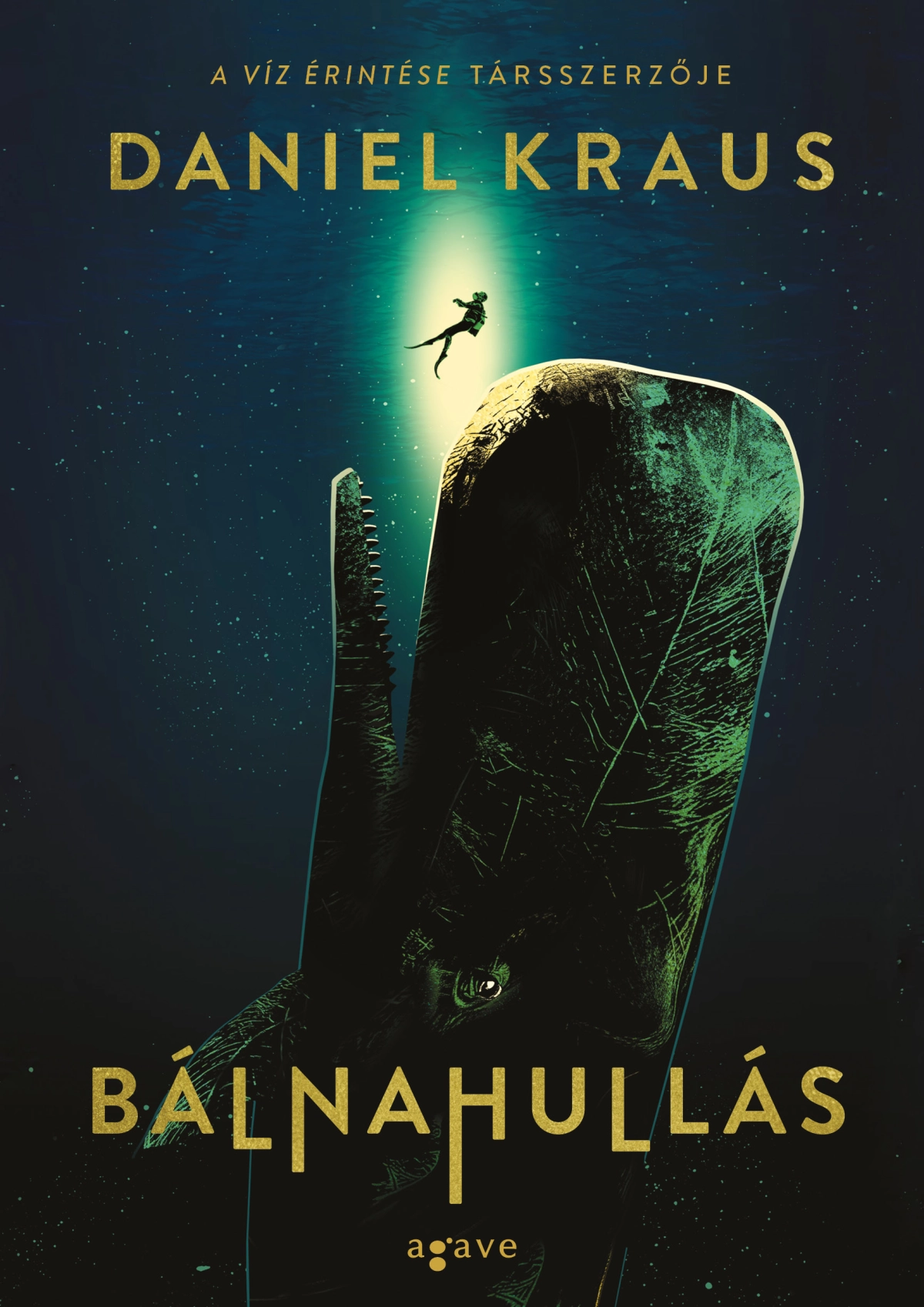 Daniel Kraus: Bálnahullás