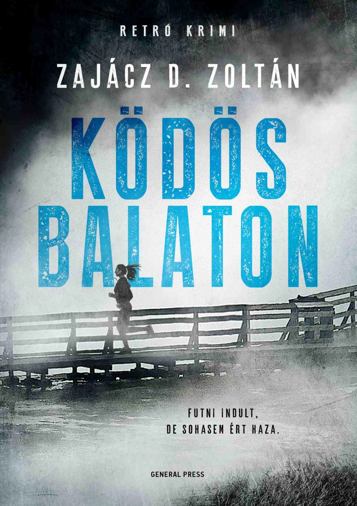 Zajácz D. Zoltán: Ködös Balaton
