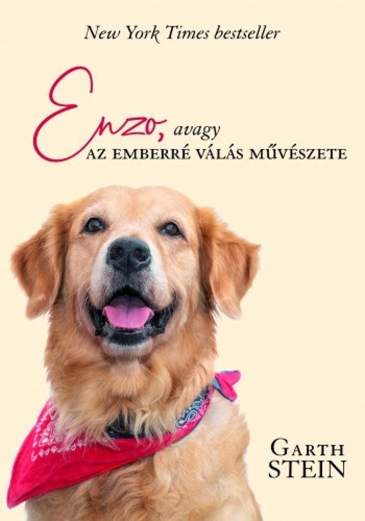 Garth Stein: Enzo, avagy az emberré válás művészete