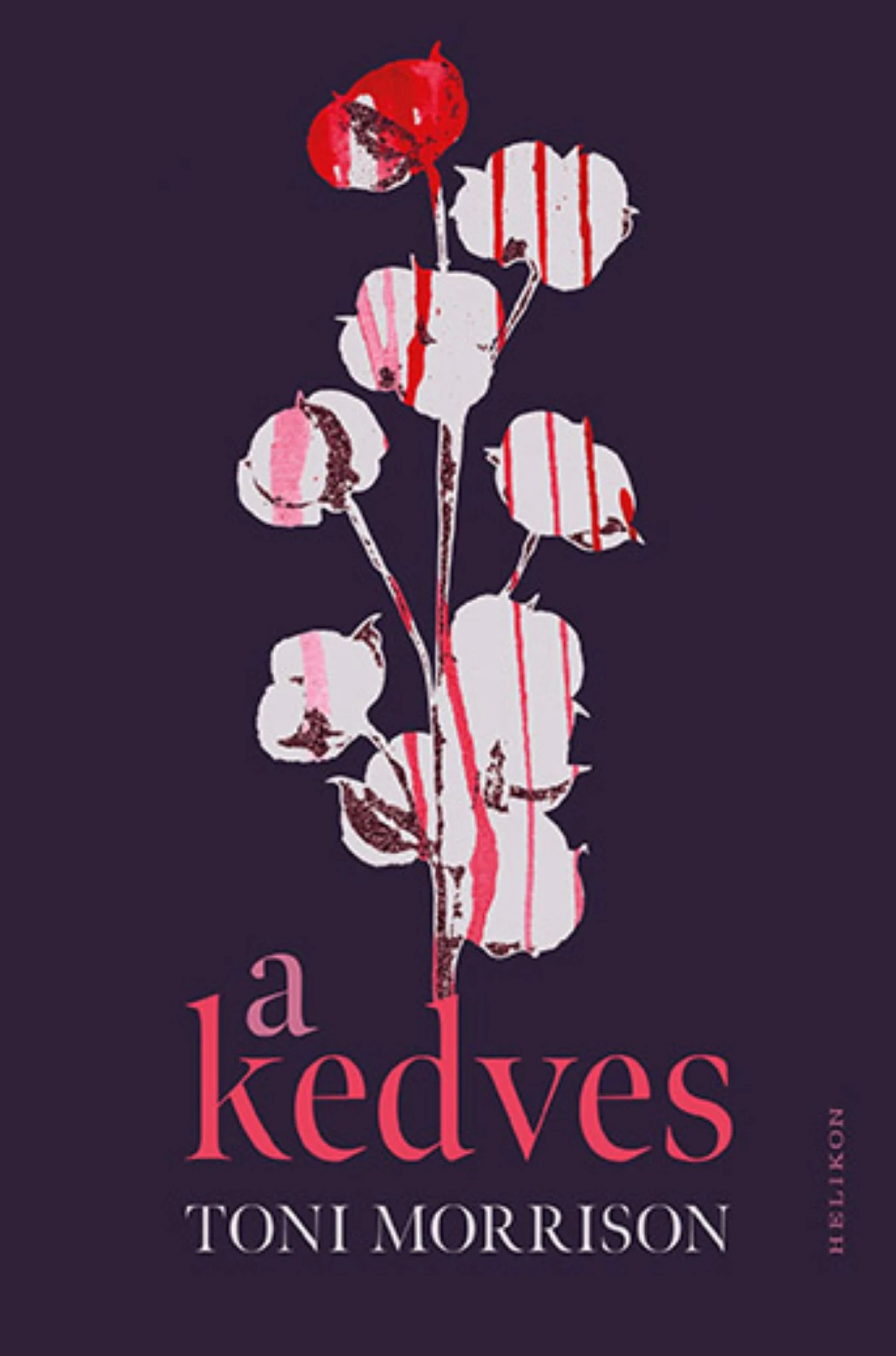 Toni Morrison: A Kedves